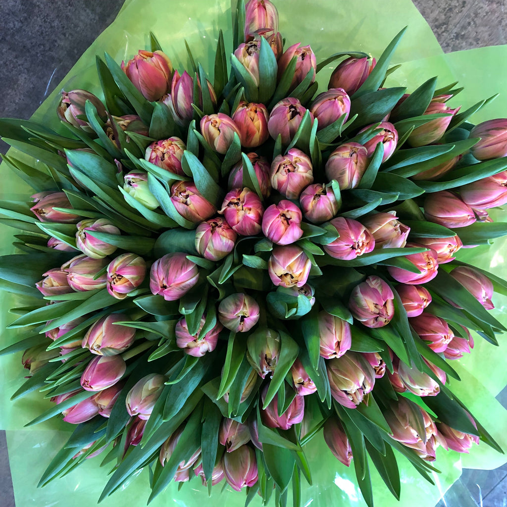 100 Tulips Wrapped Bouquet